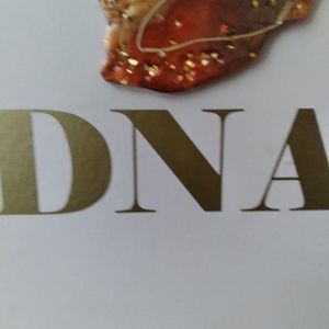 THE LAND OF KING IN QUEENS PLAQUE  HAND MADE WITH